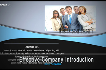 Effective Company Introduction