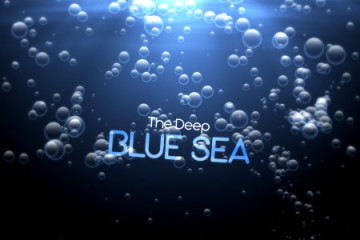 The Deep Blue Sea