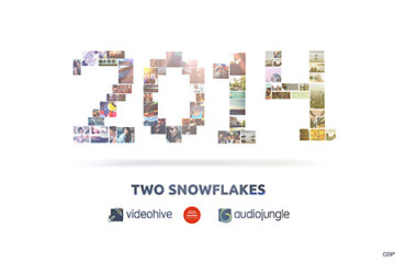 Two Snowflakes